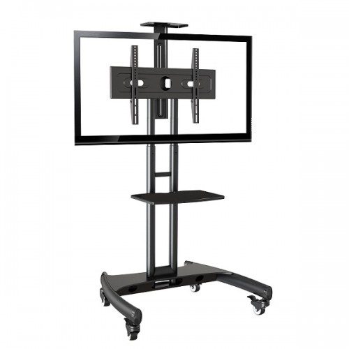 AVA1500-60-1P Video Conferencing Stand